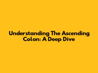 Understanding The Ascending Colon: A Deep Dive