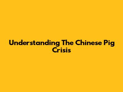 Understanding The Chinese Pig Crisis