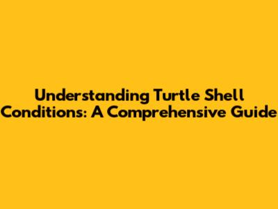 Understanding Turtle Shell Conditions: A Comprehensive Guide