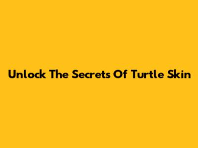Unlock The Secrets Of Turtle Skin