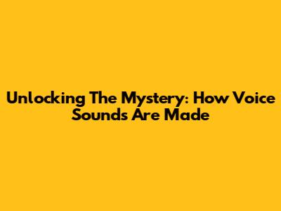 Unlocking The Mystery: How Voice Sounds Are Made
