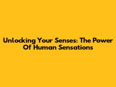 Unlocking Your Senses: The Power Of Human Sensations