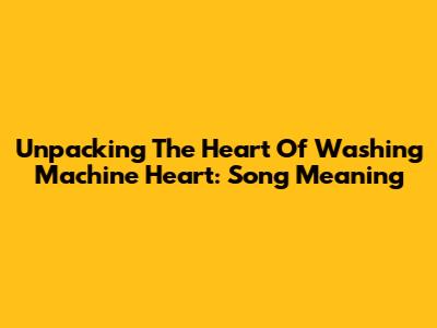Unpacking The Heart Of 'Washing Machine Heart': Song Meaning