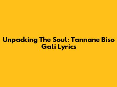 Unpacking The Soul: Tannane Biso Gali Lyrics