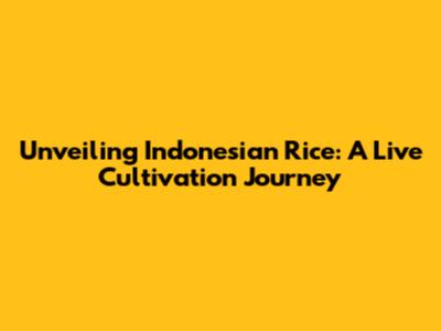 Unveiling Indonesian Rice: A Live Cultivation Journey