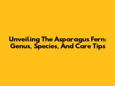 Unveiling The Asparagus Fern: Genus, Species, And Care Tips