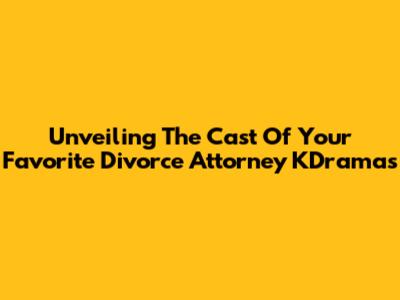 Unveiling The Cast Of Your Favorite Divorce Attorney KDramas