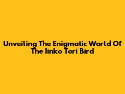 Unveiling The Enigmatic World Of The Iinko Tori Bird