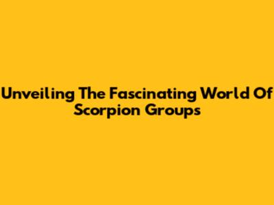 Unveiling The Fascinating World Of Scorpion Groups