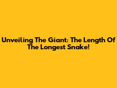 Unveiling The Giant: The Length Of The Longest Snake!