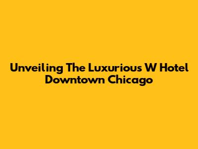 Unveiling The Luxurious W Hotel Downtown Chicago