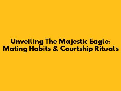 Unveiling The Majestic Eagle: Mating Habits & Courtship Rituals