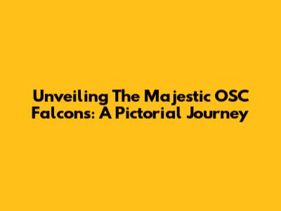 Unveiling The Majestic OSC Falcons: A Pictorial Journey