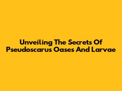 Unveiling The Secrets Of Pseudoscarus Oases And Larvae