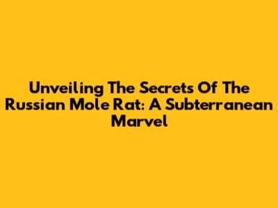 Unveiling The Secrets Of The Russian Mole Rat: A Subterranean Marvel