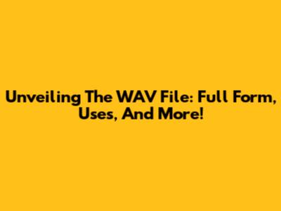 Unveiling The WAV File: Full Form, Uses, And More!