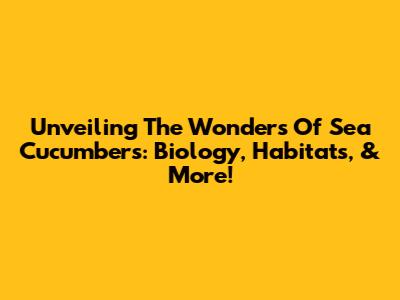 Unveiling The Wonders Of Sea Cucumbers: Biology, Habitats, & More!