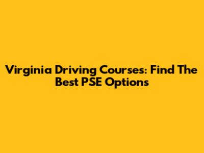 Virginia Driving Courses: Find The Best PSE Options