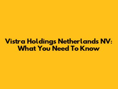 Vistra Holdings Netherlands NV: What You Need To Know