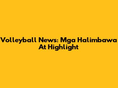 Volleyball News: Mga Halimbawa At Highlight