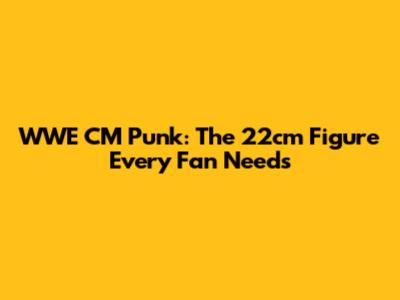WWE CM Punk: The 22cm Figure Every Fan Needs