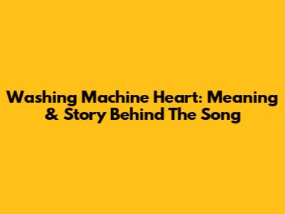 Washing Machine Heart: Meaning & Story Behind The Song