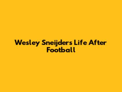 Wesley Sneijder's Life After Football