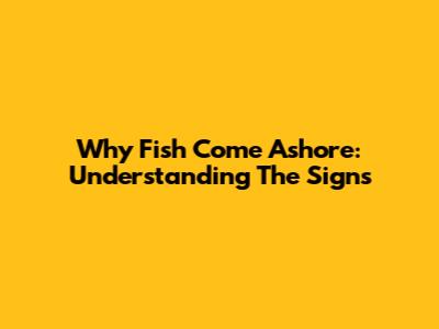 Why Fish Come Ashore: Understanding The Signs