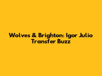 Wolves & Brighton: Igor Julio Transfer Buzz