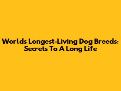 World's Longest-Living Dog Breeds: Secrets To A Long Life