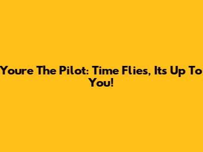 You're The Pilot: Time Flies, It's Up To You!