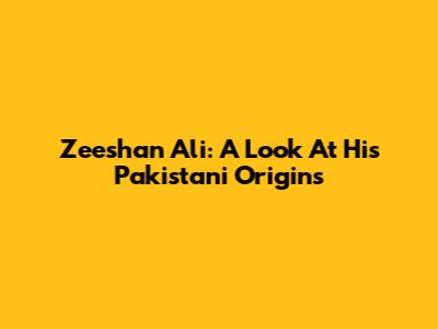 Zeeshan Ali: A Look At His Pakistani Origins